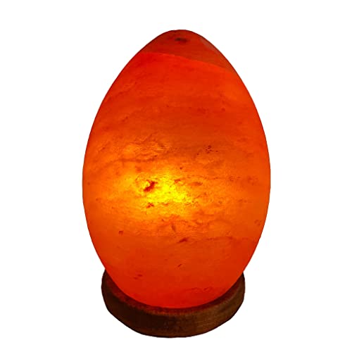 SudoreWell® Salzkristall Lampe Salzlampe eiförmig (EGG) aus der Salt Range Pakistan by Salzarena von SudoreWell