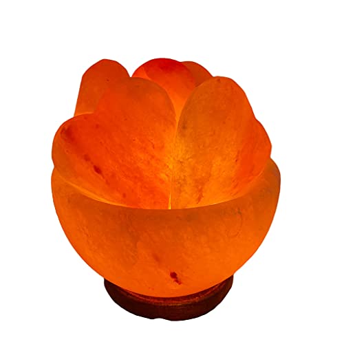 SudoreWell® Salzschale Heart Feuerschale mit Salzbrocken in Herzform Ø 15 cm aus der Salt Range Pakistan von SudoreWell