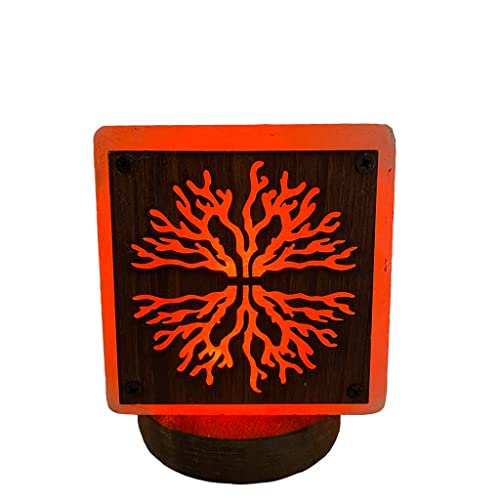 SudoreWell® USB LED rosa Steinsalz Salzlampe 3D Frame Tree aus der Salt Range Pakistan - Höhe ca.10 cm von SudoreWell