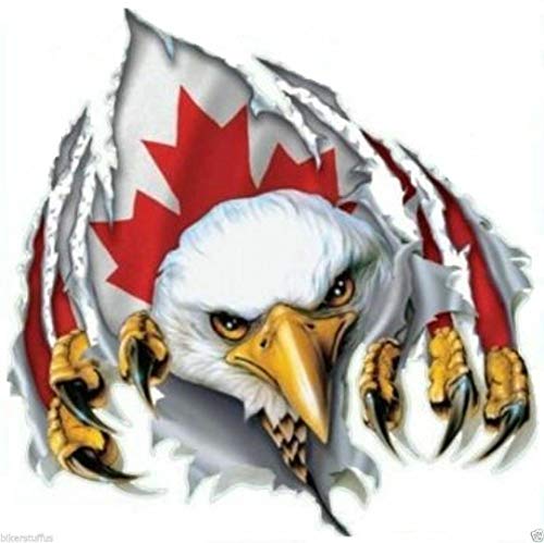 Sticker-Designs 10cm! Klebe-Folie Wetterfest Made-IN-Germany Canada Canadian Flag Flagge Fahne Eagle See-Adler UV&Waschanlagenfest Auto-Aufkleber Profi-Qualität! F933 von Sticker-Designs