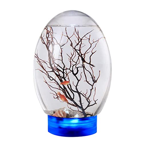 360 Desktop Aquarium Kit Neuheit Design Mit LED Basis Für Kinder/Fischerliebhaber Nicht Erforderlich von SueaLe