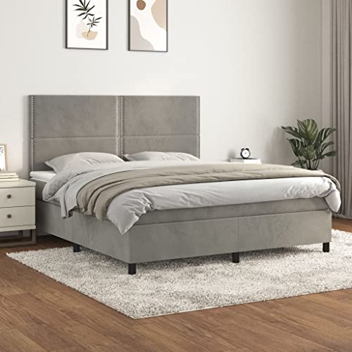 Sufrk Boxspringbett mit Matratze Betten Mit Matratze Schlafzimmer Bett Boxspringbett Mit Matratze Hellgrau 160x200 cm Samt - 3142971 von Sufrk