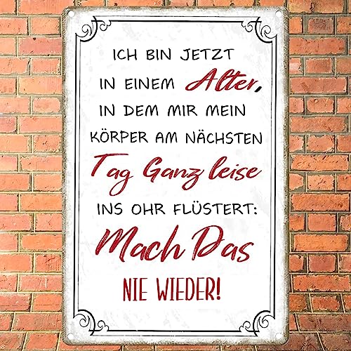Sugeru Art Metallschild Sprüche Schilder Retro | poster deko büro terrassen vintage flur aesthetic room | schilder mit sprüchen | blechschilder sprüche | Wandschild Bade Wand Dekoration |20 x 30cm-A von Sugeru