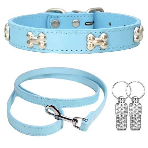 Suiecuor Halsband und Leinenhalsband hundehalsband kleine Hunde Lederhalsband Geeignet für kleine mittlere groß Hunde und Katzen Himmelblau S Suiecuor Halsband und Leinenhalsband hundehalsband kleine Hunde Lederhalsband Geeignet für kleine mittlere groß Hunde und Katzen Himmelblau S von Suiecuor