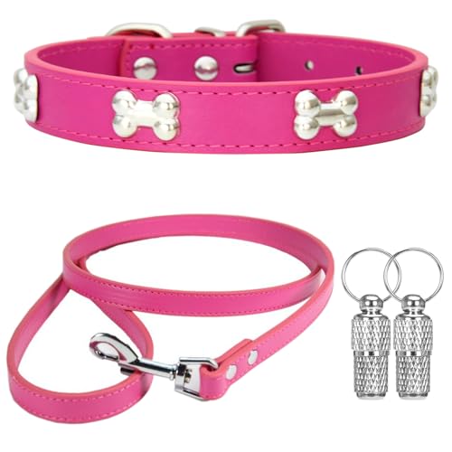 Suiecuor Halsband und Leinenhalsband hundehalsband kleine Hunde Lederhalsband Geeignet für kleine mittlere groß Hunde und Katzen Dunkelrosa XS Suiecuor Halsband und Leinenhalsband hundehalsband kleine Hunde Lederhalsband Geeignet für kleine mittlere groß Hunde und Katzen Dunkelrosa XS von Suiecuor