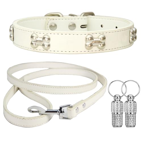 Suiecuor Halsband und Leinenhalsband Lederhalsband Hund Hundehalsband mit Metallknochendekoration Geeignet für kleine mittlere groß Hunde und Katzen Weiß XS Suiecuor Halsband und Leinenhalsband Lederhalsband Hund Hundehalsband mit Metallknochendekoration Geeignet für kleine mittlere groß Hunde und Katzen Weiß XS von Suiecuor