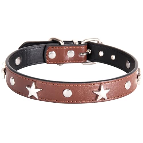 Suiecuor Lederhalsband Hund Welpenhalsband mit Metall Pentagramm Dekoration Halsband Hund Geeignet für kleine mittlere Hunde und Katzen Braun XS Suiecuor Lederhalsband Hund Welpenhalsband mit Metall Pentagramm Dekoration Halsband Hund Geeignet für kleine mittlere Hunde und Katzen Braun XS von Suiecuor