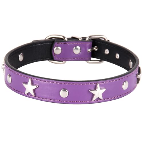 Suiecuor Lederhalsband Hund Welpenhalsband mit Metall Pentagramm Dekoration Halsband Hund Geeignet für kleine mittlere Hunde und Katzen Lila XS Suiecuor Lederhalsband Hund Welpenhalsband mit Metall Pentagramm Dekoration Halsband Hund Geeignet für kleine mittlere Hunde und Katzen Lila XS von Suiecuor