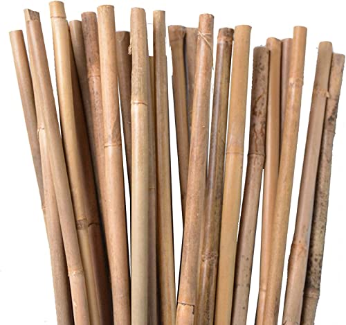 Suinga - 100 x Natürlicher Bambusstab 100 cm, 8-10 mm Durchmesser. Tutoren für Pflanzen, Natürliche ökologische Bambusstäbe, Bambusrohr von Suinga