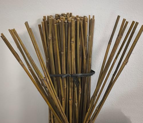 Suinga 25 Stück, Bambusstützen für Pflanzen 150 cm (12-14 mm) – Bambusstäbe, Stützen für Pflanzen, Gemüse, Tomaten, Bambusstäbe von Suinga