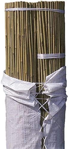Suinga - 50 x Natürlicher Bambusstab 180 cm, 12-14 mm Durchmesser. Pflanzstäbe, natürliche ökologische Bambusstäbe, Bambusrohr. von Suinga
