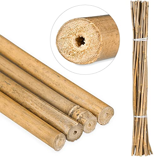 Suinga - 50 x Natürlicher Bambusstab 120 cm, 8-10 mm Durchmesser. Pflanzstäbe, natürliche ökologische Bambusstäbe, Bambusrohr. von Suinga
