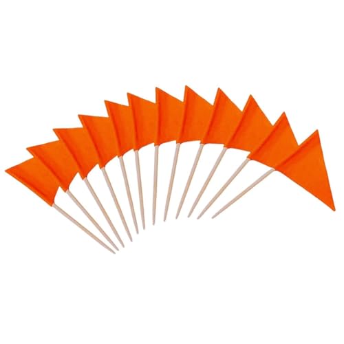 Solide Leere Dreieck-Zahnstocher-Flaggen, 100 Stück (Gelb) - Mini Zahnstocher-Flagge für Cupcake-Topper, DIY-Dekoration & Party-Marker(Orange) von Suixtil