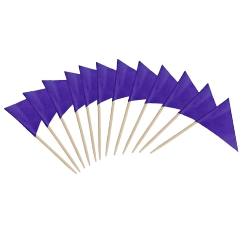Solide Leere Dreieck-Zahnstocher-Flaggen, 100 Stück (Gelb) - Mini Zahnstocher-Flagge für Cupcake-Topper, DIY-Dekoration & Party-Marker(Violett) von Suixtil
