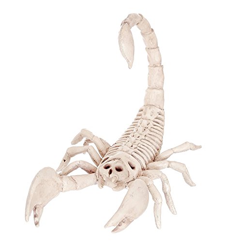 Sujhyrty Simulation Tierskelettmodell Skorpionskelett Knochen Fuer Halloweenparty Bar Dekoration Skorpionskelett von Sujhyrty