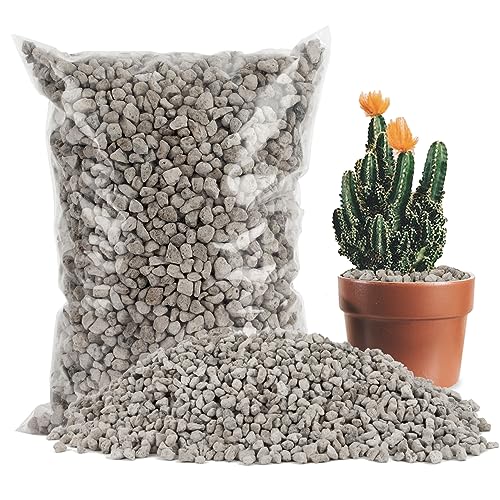 Sukh Grauer Bimsstein – Bimsstein für Pflanzen, Sukkulenten, Kakteen, Bonsai, Orchideen, Bodenverbesserungsmittel, 410 g von Sukh