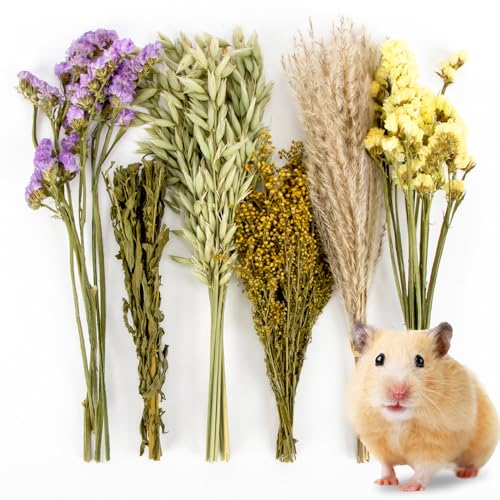 Sukh Herb Bedding Habitat Decor - Natural Flower Hamster Mate Herbs Sprays Cage Safe Pet Accessories Decorations Hideout for Hamsters Mouse Guinea Pig Dwarf Gerbils Syrian Mice Sukh Herb Bedding Habitat Decor - Natural Flower Hamster Mate Herbs Sprays Cage Safe Pet Accessories Decorations Hideout for Hamsters Mouse Guinea Pig Dwarf Gerbils Syrian Mice von Sukh