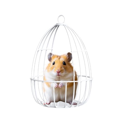Chinchilla-Hängematte | Eisendraht-Spielzeug für Hamster – Hauskäfig-Schaukelnest, Haustierzubehör für Zuckergleiter, Eichhörnchen, Kleintiere, Training, Zwergkaninchen, Meerschweinchen von Sulxyi