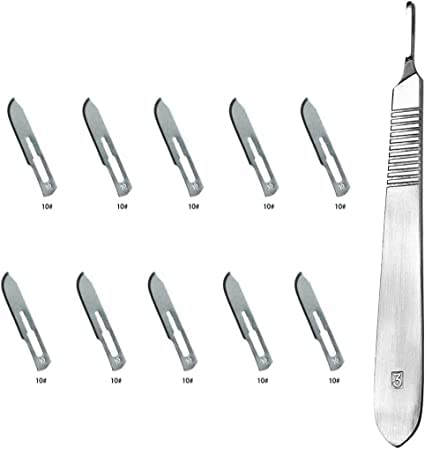 Set - 10 Stück Skalpellklingen Nr. 10 und Skalpellgriff Nr. 3 - Ersatz-Skalpellklingen aus Kohlenstoffstahl - Steril (Form 10) von Sumedtec