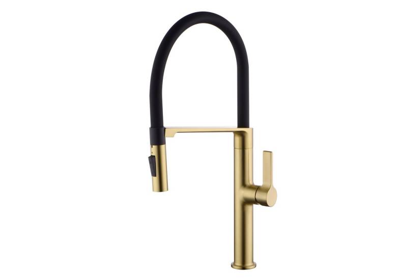 Sumerain Küchenarmatur Auszugs-Küchenarmatur mit Dual-Spray-Funktion (Mischbatterie) Einhebel​, ​​Magnetisches Dock​​ von Sumerain