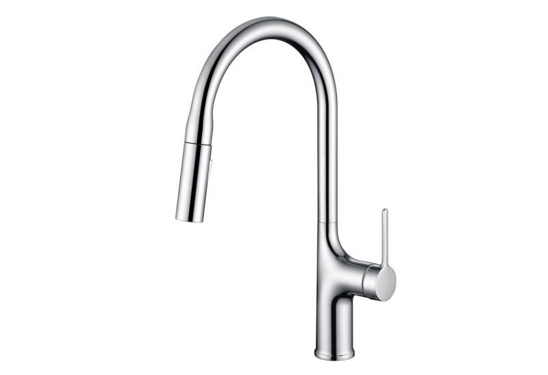 Sumerain Küchenarmatur Küchenarmatur mit Auszugsbrause und Zweifach-Funktion​ (Mischbatterie) Einhebel von Sumerain