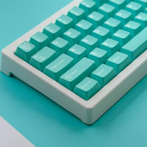 114 Tasten PBT Doubleshot Tastenkappen Cherry Profile Mint Blue Keycap Set Fit für Cherry MX Switches Alice Keyboard Mechanische Tastaturen von Sumgsn
