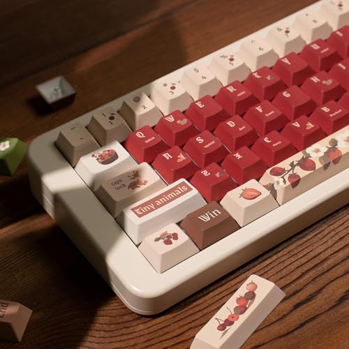 152-Tasten PBT Dye SUB Keycaps Cherry Profile Tastenkappensatz mit Aufbewahrungsbox für Tastenkappen passend Cherry Mx Switches Mechanische Tastatur von Sumgsn