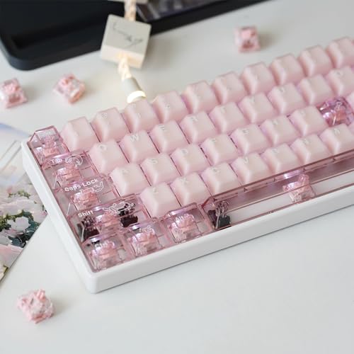 99 Tasten Custom Pink Keycaps Cherry Profile Translucent Keycaps Set Fit for 60%/75%/80% Cherry MX Switches Mechanical Keyboard von Sumgsn