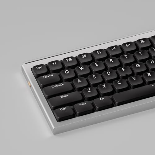 Sumgsn 112 Keys Low Profile Keycaps, Shine Through Keycaps, Doubleshot Schwarz Tastenkappen Fit für 68 84 87 98 100 104 mechanische Tastatur Sumgsn 112 Keys Low Profile Keycaps, Shine Through Keycaps, Doubleshot Schwarz Tastenkappen Fit für 68 84 87 98 100 104 mechanische Tastatur von Sumgsn