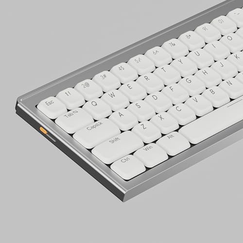 Sumgsn 112 Tasten Low Profile Keycaps, Shine Through Keycaps, Weiß Doubleshot Tastenkappen Fit für 68 84 87 98 100 104 mechanische Tastatur von Sumgsn