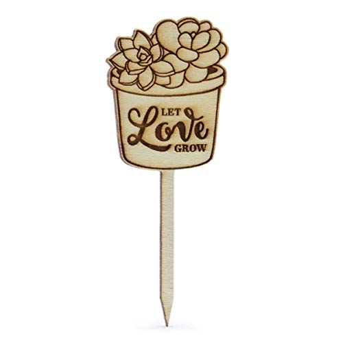 Summer-Ray 50 Stück Holz Let Love Grow Hochzeit Brautschmuck Dusche Sukkulenten Favour Marker von Summer-Ray.com