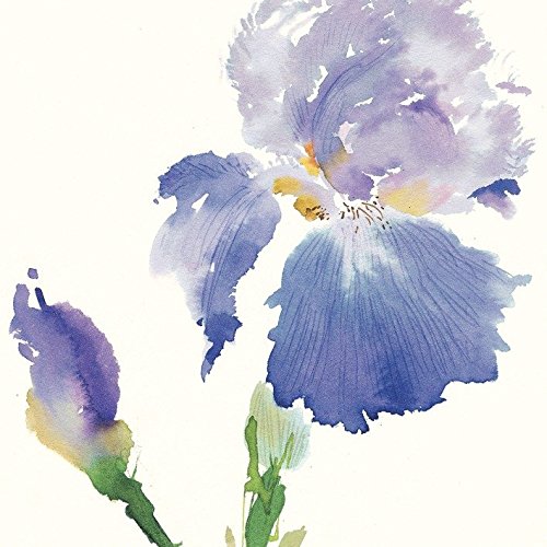 Summer Thornton Leinwanddruck, Iris, 40 x 40 cm, Polyester, Mehrfarbig, 40x40x3.2 cm von Summer Thornton