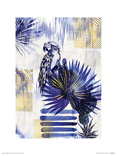 Summer Thornton Kunstdrucke, Papier, Mehrfarbig, 30 x 40 cm von Summer Thornton