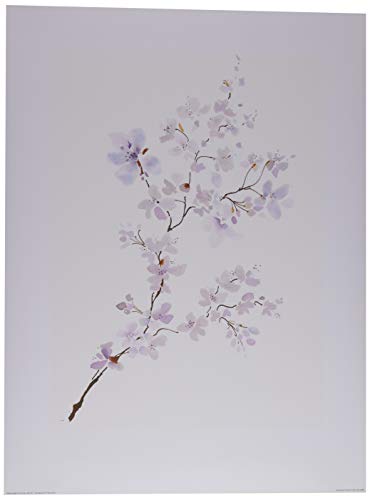 Summer Thornton Kunstdrucke, Papier, Mehrfarbig, 60 x 80 cm Summer Thornton Kunstdrucke, Papier, Mehrfarbig, 60 x 80 cm von Summer Thornton