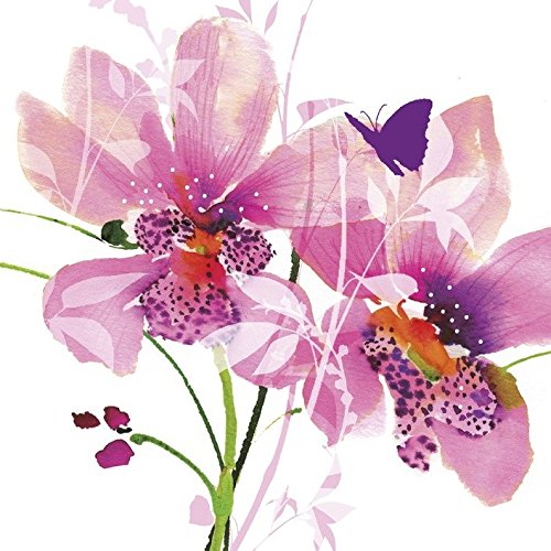 Summer Thornton Kunstdruck auf Leinwand, Orchideen-Blush, 40 x 40 cm, Polyester, Mehrfarbig, 40x40x3.2 cm von Summer Thornton