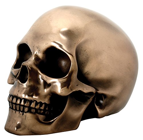 YTC Summit International Bronze Color Human Skull Head Figurine Skeleton Halloween Gothic Decoration New von SUMMIT COLLECTION