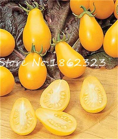 Sumpf frisch 100 Stk. Tomaten Bio-Gemüsesamen zum Pflanzen von Gelb 2 von Sump