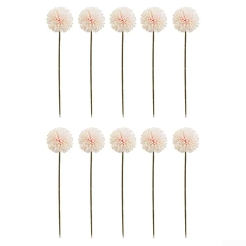 Chrysanthemen Seidenblumen-Set, 12 Stück, für Tisch und Regal, Dekoration, Höhe 32 cm, Fleischrosa Chrysanthemen Seidenblumen-Set, 12 Stück, für Tisch und Regal, Dekoration, Höhe 32 cm, Fleischrosa von Sumsoctober
