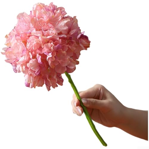 Künstlicher Hortensien-Seidenblumenstrauß, verbrannter Rand, realistische Textur, große Blütenform, pflegeleicht, Heimvase, Dekoration, Hochzeit, Party, Blumenarrangement, 1 Stück, 20 x 36 cm Künstlicher Hortensien-Seidenblumenstrauß, verbrannter Rand, realistische Textur, große Blütenform, pflegeleicht, Heimvase, Dekoration, Hochzeit, Party, Blumenarrangement, 1 Stück, 20 x 36 cm von Sumsoctober