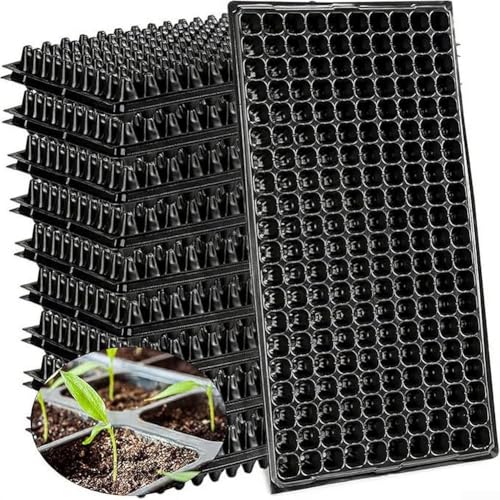 Sumsoctober 10 Pack Starter Trays mit 200 Zellen - Wiederverwendbare Kunststoff-Pflanzen-Anzuchtschalen mit Abflusslöchern für Gewächshaus, Gartenarbeit und Stecklinge Sumsoctober 10 Pack Starter Trays mit 200 Zellen - Wiederverwendbare Kunststoff-Pflanzen-Anzuchtschalen mit Abflusslöchern für Gewächshaus, Gartenarbeit und Stecklinge von Sumsoctober