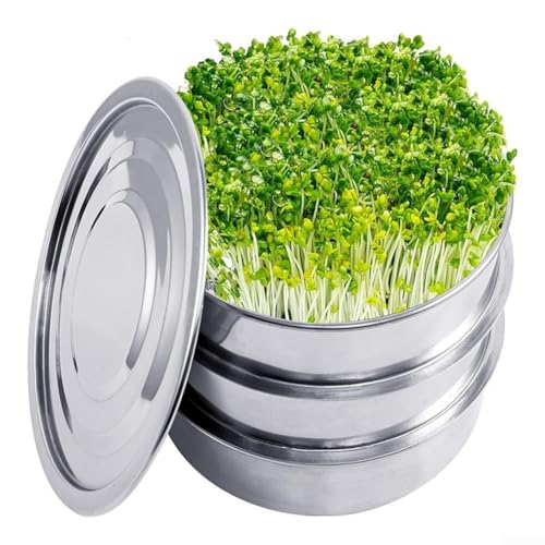 Sumsoctober Sprouter Tray Healthy Wheatgrass Grower Sprouting Container Kit Stainless Steel Soil-Free Cultivation Keimschale (A) von Sumsoctober