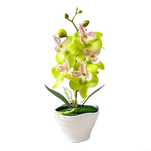 Wunderschön gearbeitete künstliche Orchidee im Topf, stilvoller floraler Akzent für jeden Raum oder jede Veranstaltung (A) von Sumsoctober