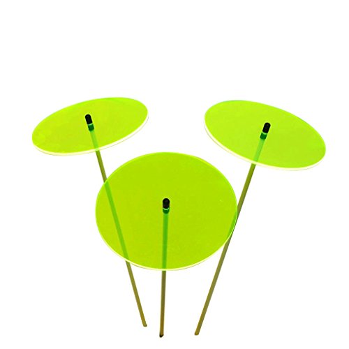 Sonnenfänger 3er Set Große Sun Discs, 75cm hohe Garten Sonnen Scheiben Ornamente für Drinnen und Draußen, Gärtner Geschenk, Farbe:grün Sonnenfänger 3er Set Große Sun Discs, 75cm hohe Garten Sonnen Scheiben Ornamente für Drinnen und Draußen, Gärtner Geschenk, Farbe:grün von Sun Catcher Garden Decor