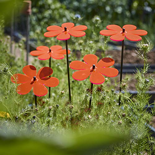 Sun Catcher Garden Decor 5er Set Schöne Gänseblümchen Sonnenfänger Garten Stecker 75cm hohe Dekoration für Garten Balkon Terrasse Geschenk, Farbe:Rot von Sun Catcher Garden Decor