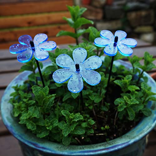 Sun Catcher Garden Decor Sonnenfänger Set aus 3 Kleinen Leuchtenden Gänseblümchen Besondere Garten Dekoration für Garten Balkon Terrasse, Farbe:blau Sun Catcher Garden Decor Sonnenfänger Set aus 3 Kleinen Leuchtenden Gänseblümchen Besondere Garten Dekoration für Garten Balkon Terrasse, Farbe:blau von Sun Catcher Garden Decor