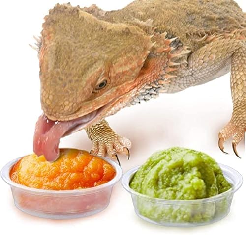 SunGrow Gecko Futter- und Wasserbehälter, wiederverwendbar, recycelbar, Einwegbecher, 14 ml Fassungsvermögen, passend für verschiedene Reptilien-Futterspender, 50 Stück SunGrow Gecko Futter- und Wasserbehälter, wiederverwendbar, recycelbar, Einwegbecher, 14 ml Fassungsvermögen, passend für verschiedene Reptilien-Futterspender, 50 Stück von SunGrow