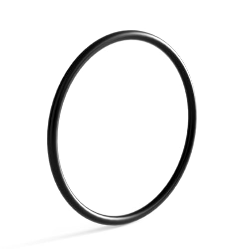 SunSun Ersatzteil Auslass O-Ring für Bio Teichfilter CBF-350B – Durchlauffilter Teich bis 60.000 L Teichvolumen – bis 10000 l/h – 2 Kammer-System Teich Filter Biofilter Koiteich von SunSun