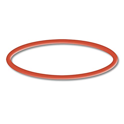 SunSun Ersatzteil für Schwimmbadpumpe O-Ring 4, leistungsstarke Poolfilteranlage, Filterpumpe mit hoher Förderleistung, robuste Pool Pumpe von SunSun