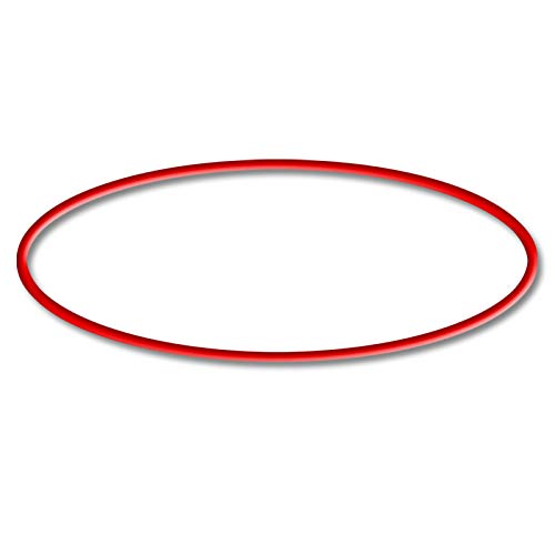 SunSun Ersatzteil für Sandfilter CSF-500 O-Ring 1, robuster Pool Sandfilter, effiziente Sandfilteranlage, Pool Filter für klares Wasser von SunSun