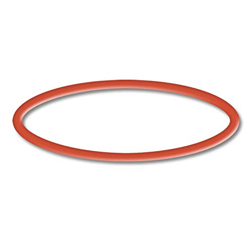 SunSun Ersatzteil für Schwimmbadpumpe O-Ring 2, leistungsstarke Poolfilteranlage, Filterpumpe mit hoher Förderleistung, robuste Pool Pumpe von SunSun